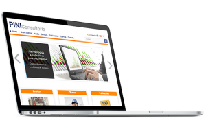Site Pini Consultoria